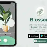 Blossom – Identificar Plantas: Seu Guia Inteligente para o Mundo da Botânica