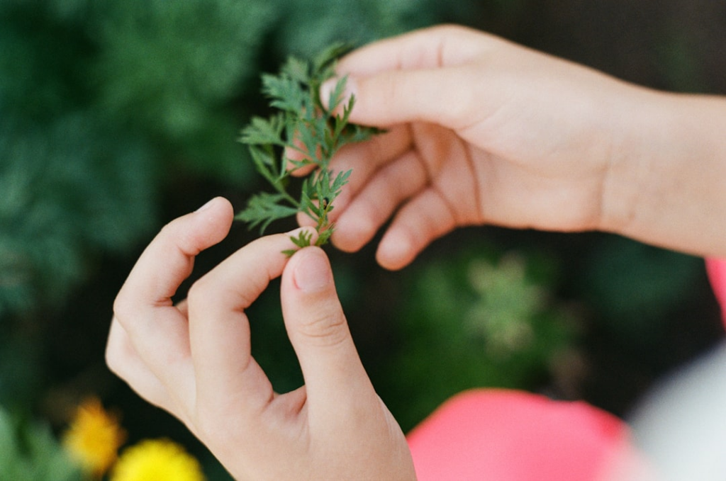 a person holding a plant in their hand — Foto por Ilnur Kalimullin na Unsplash