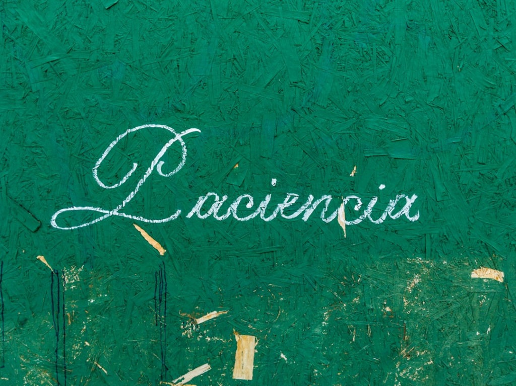 Laciencia text vector art — Foto por Diego González na Unsplash