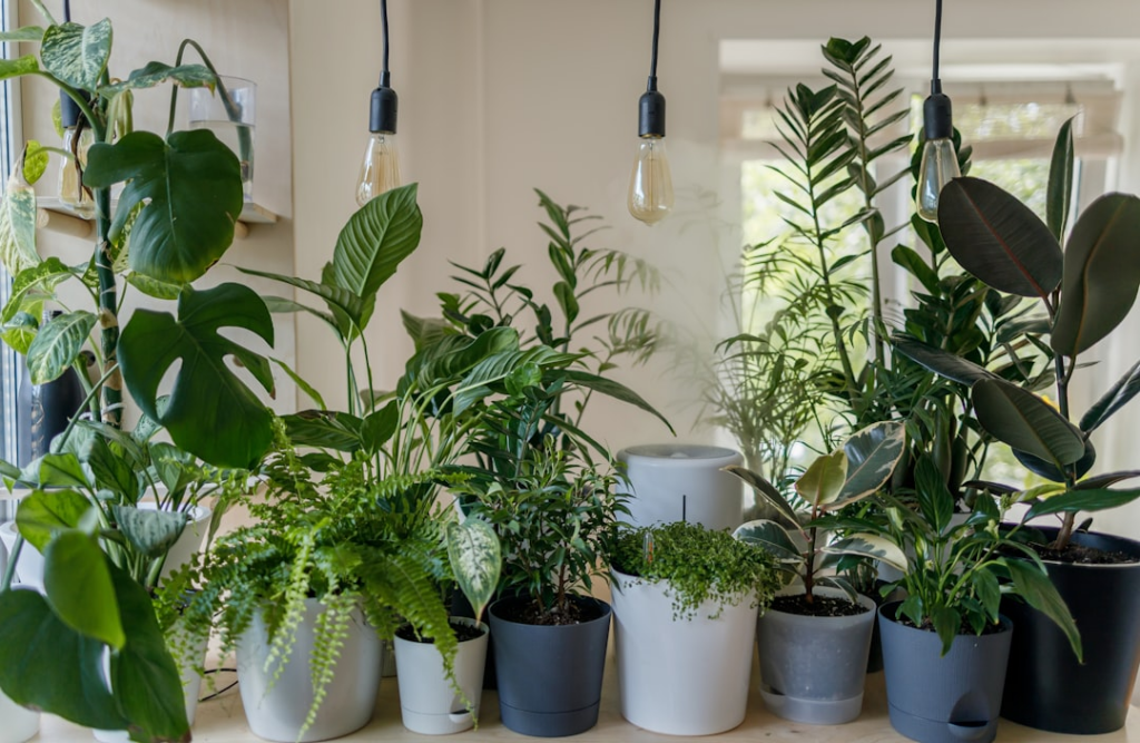 green plant in white ceramic pot — Foto por vadim kaipov na Unsplash