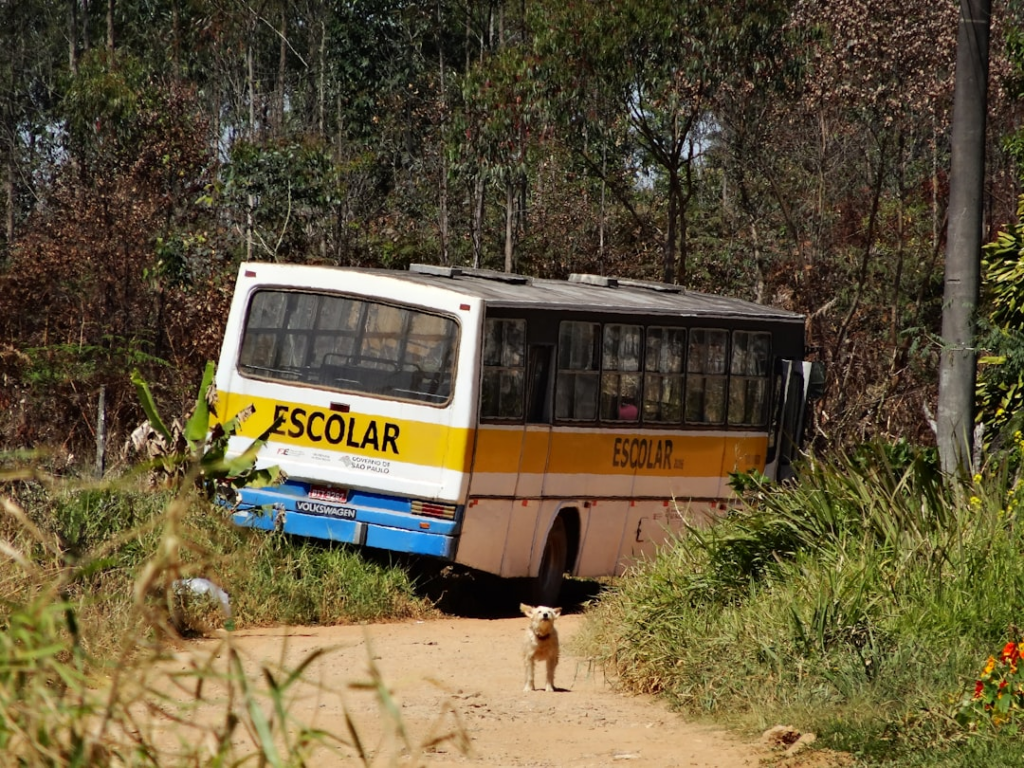 yellow and blue bus on green grass field during daytime — Foto por Rodolfo Rodrigues da Cunha na Unsplash