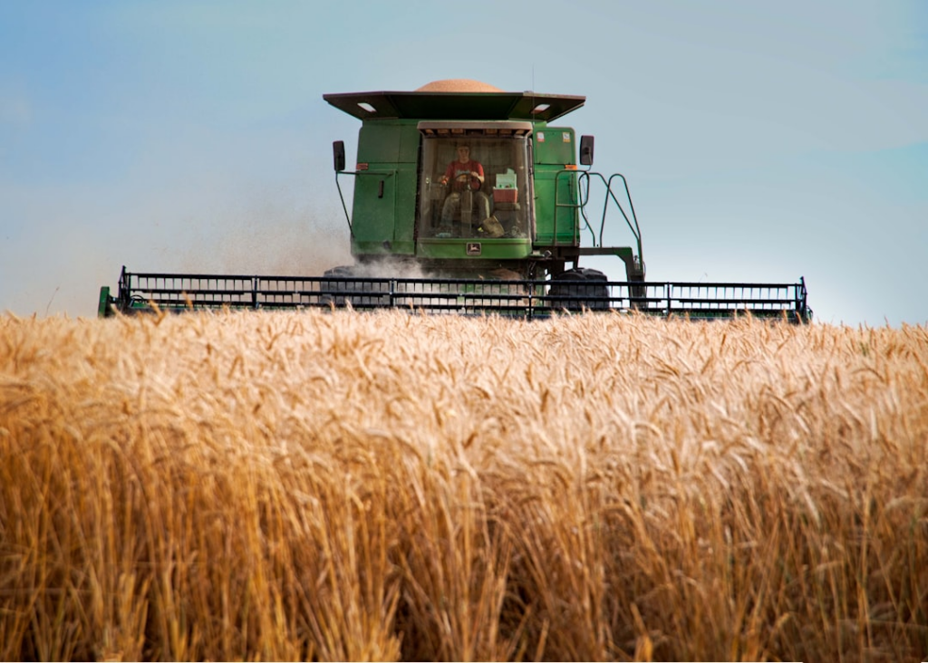 a green combine truck driving through a wheat field — Foto por Darla Hueske na Unsplash