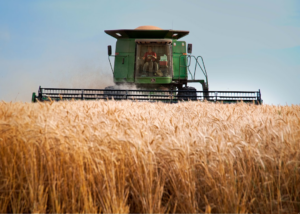 a green combine truck driving through a wheat field — Foto por Darla Hueske na Unsplash