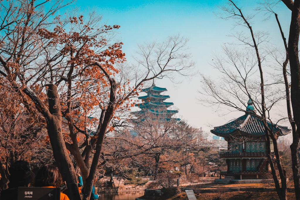 brown bare trees under blue sky during daytime — Foto por Louie Nicolo Nimor na Unsplash