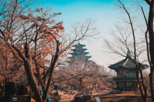brown bare trees under blue sky during daytime — Foto por Louie Nicolo Nimor na Unsplash